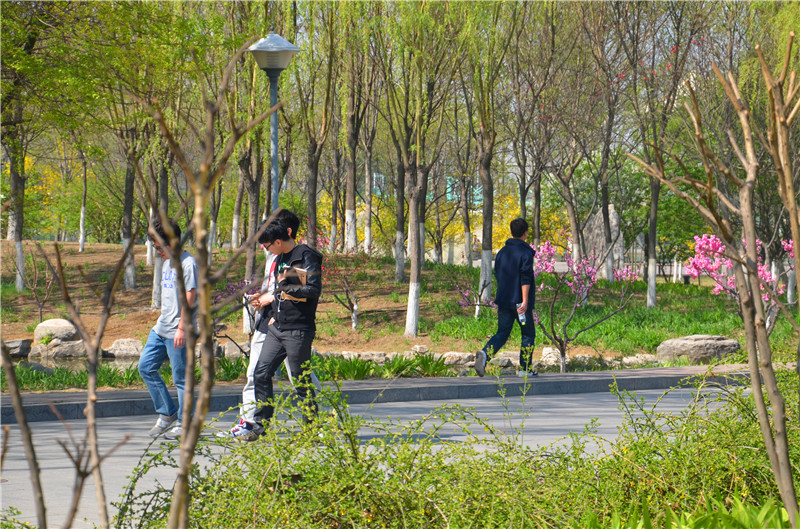 鸿运国际·(中国)会员登录入口